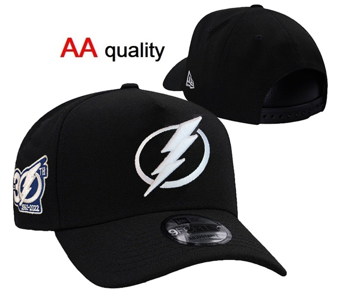 Tampa Bay Lightning 2026 Stitched Snapback Hats 001